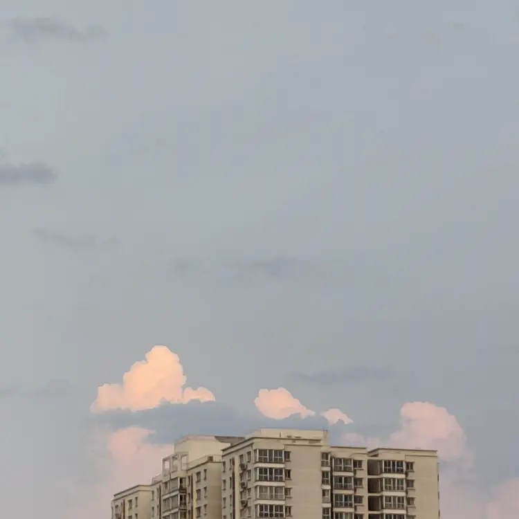 1713635050651.jpg